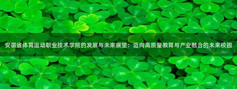 JJB竞技宝官方正版app科技：安徽省体育运动职业技