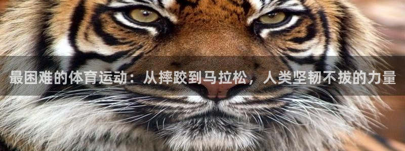 JJB竞技宝官网下载招商电话是多少啊