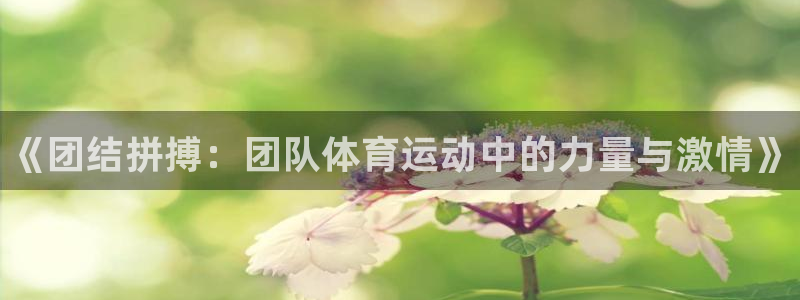 JJB竞技宝官方正版app五金厂：《团结拼搏：团队体