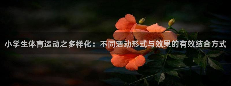 JJB竞技宝官网下载平台假的吗是真的吗：小学生体育运