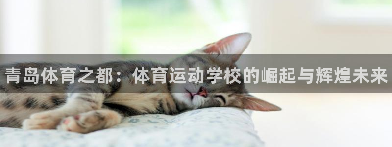 JJB竞技宝官方正版app娱乐代理怎么样：青岛体育之