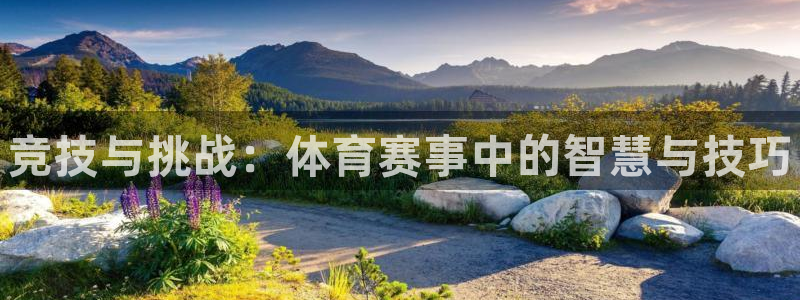 JJB竞技宝官方正版app娱乐首页网站大全：竞技与挑