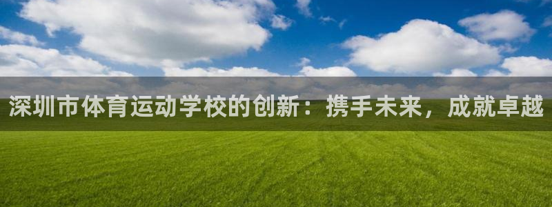 JJB竞技宝官方正版app娱乐首页官网下载：深圳市体