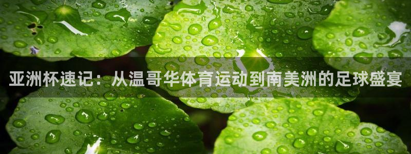 JJB竞技宝官网下载平台注册流程视频：亚洲杯速记：从温哥华体