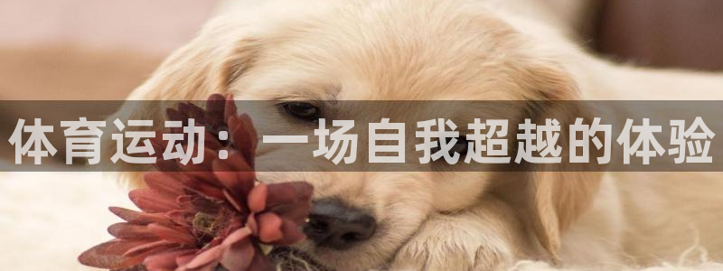 JJB竞技宝官方正版app娱乐40996：体育运动：一场自我