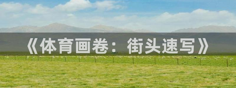 JJB竞技宝官网下载平台是正规平台吗知乎：《体育画卷：街头速