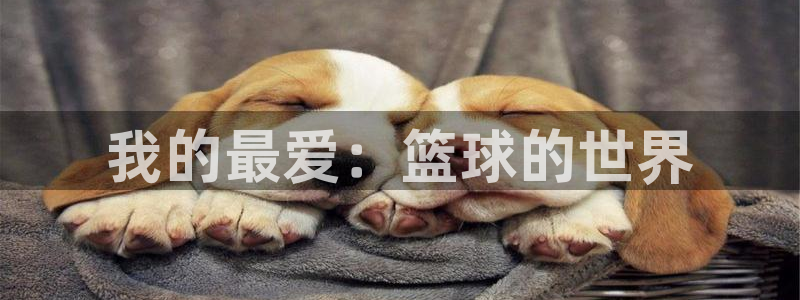 JJB竞技宝官网下载招商电话号码是多少号：我的最爱：