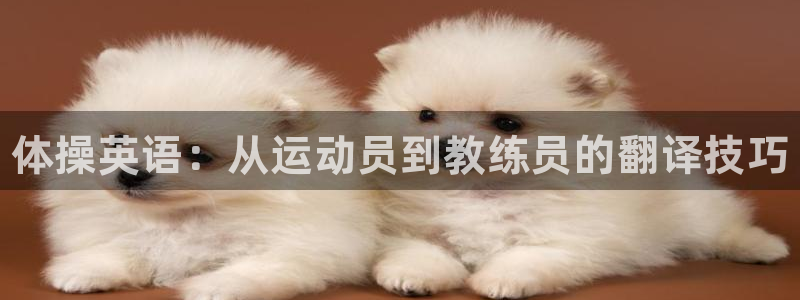 JJB竞技宝官方正版app集团官网首页：体操英语：从运动员到