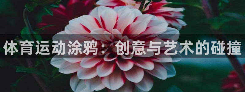 JJB竞技宝官网下载平台是正规平台吗安全吗：体育运动