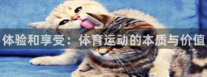 JJB竞技宝官网下载招商电话号码：体验和享受：体育运
