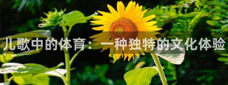 JJB竞技宝官方正版app集团：儿歌中的体育：一种独