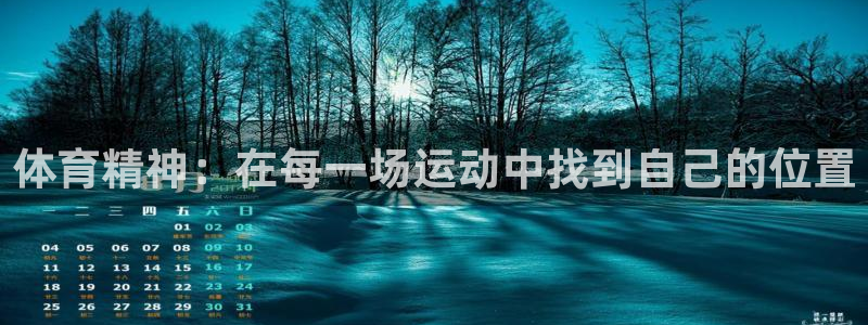 JJB竞技宝官方正版app官方：体育精神：在每一场运