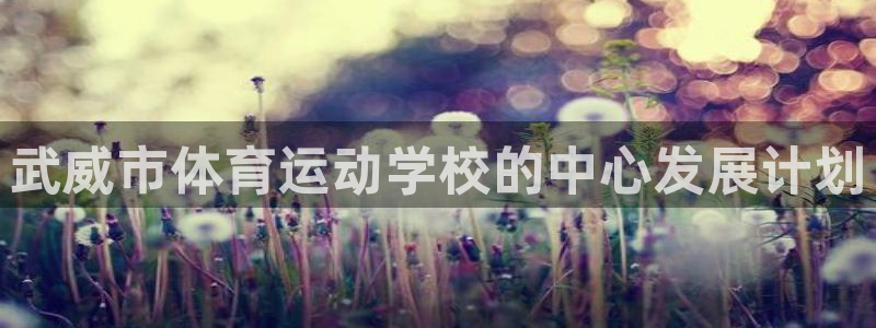 JJB竞技宝官方正版app新能源：武威市体育运动学校