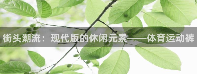 JJB竞技宝官方正版app神州：街头潮流：现代版的休