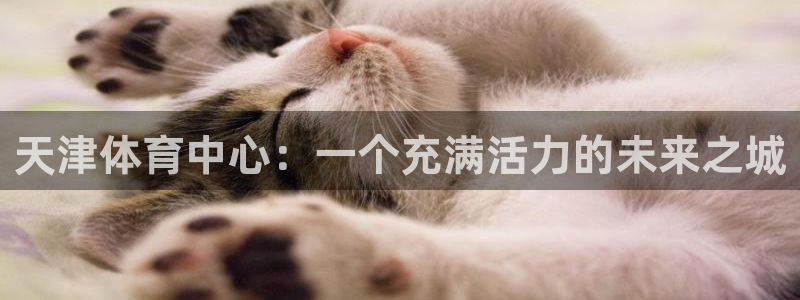 JJB竞技宝官方正版app娱乐是那个系列的台子：天津