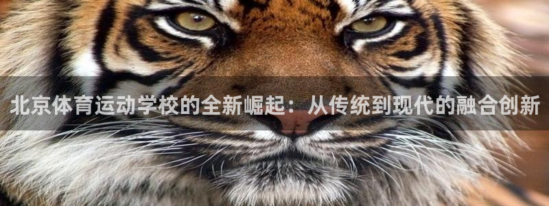 JJB竞技宝官网下载平台APP：北京体育运动学校的全新崛起：