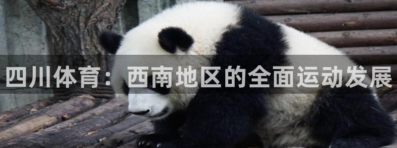 JJB竞技宝官方正版app科技：四川体育：西南地区的