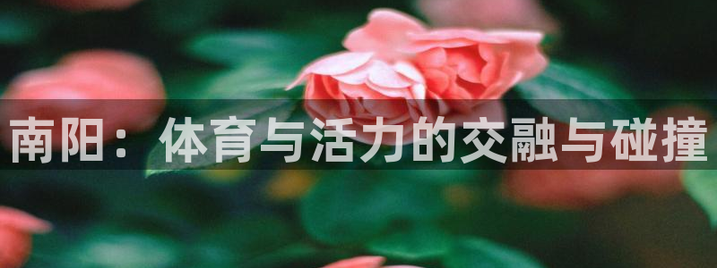 JJB竞技宝官方正版app娱乐40996：南阳：体育与活力的