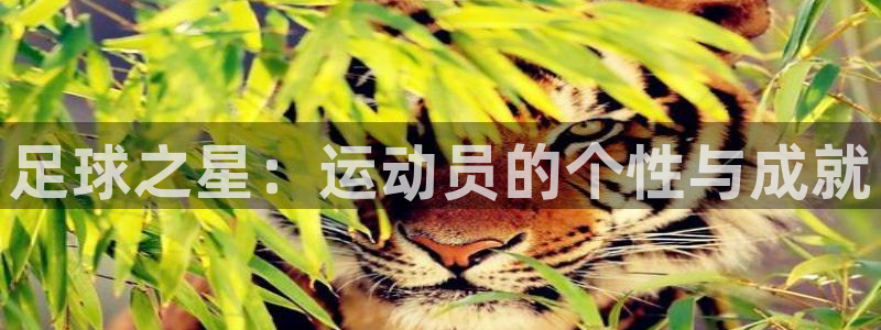 JJB竞技宝官网下载平台假的吗是真的吗吗：足球之星：