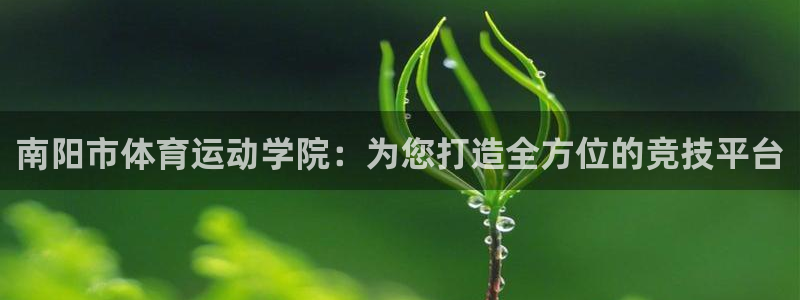 JJB竞技宝官方正版app集团E.ON：南阳市体育运