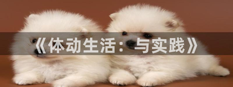 德国JJB竞技宝官方正版app集团