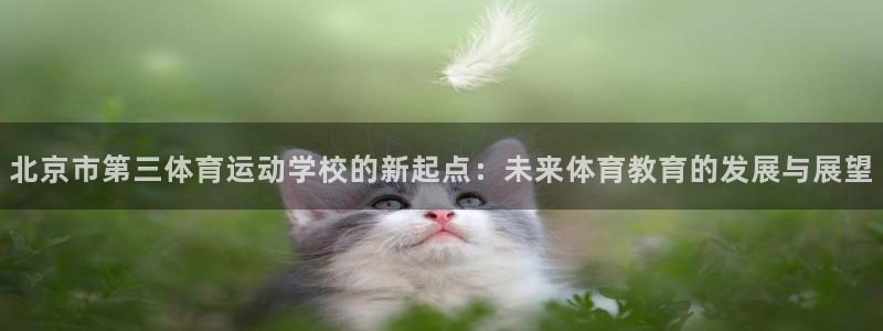 JJB竞技宝官方正版app集团E.ON：北京市第三体育运动学