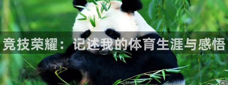 JJB竞技宝官网下载招商电话是多少：竞技荣耀：记述我的体育生