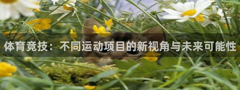 JJB竞技宝官网下载联系电话：体育竞技：不同运动项目的新视角