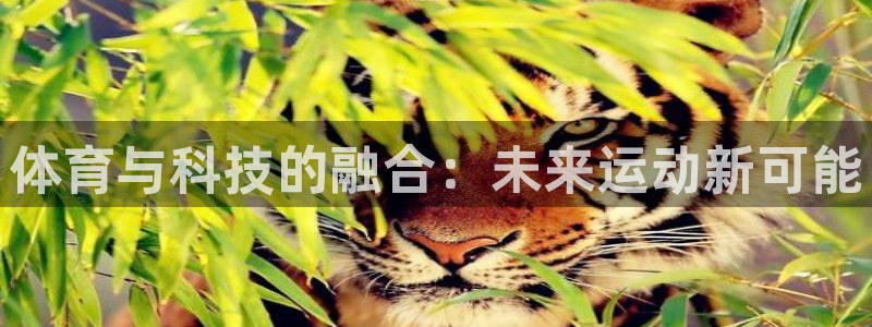 JJB竞技宝官网下载平台假的吗是真的吗吗：体育与科技的融合：