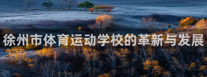 JJB竞技宝官方正版app集团官网网址：徐州市体育运