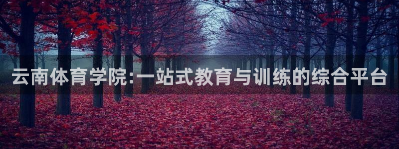 JJB竞技宝官方正版app新能源