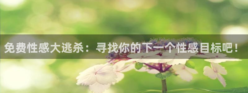 火凤足球比赛直播：免费性感大逃杀：寻找你的下一个性感目标吧！