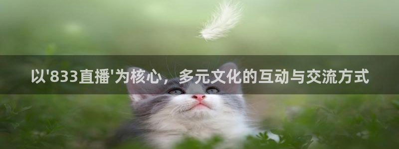 火凤斗球直播体育：以\'833直播\'为核心，多元文化的互动与交流方式